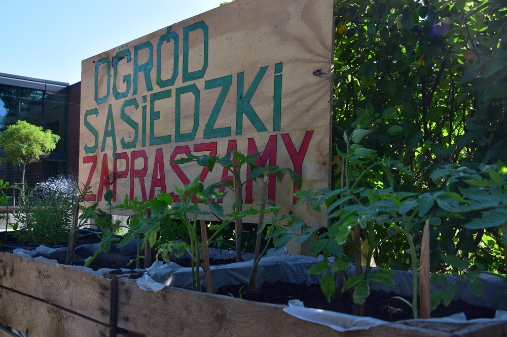 Zdjęcie młodych roślin i baneru z napisem "Ogród sąsiedzki zapraszamy"
